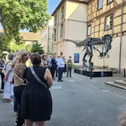 Nuit des musées au Musée d'Histoire naturelle et d'Ethnographie de Colmar