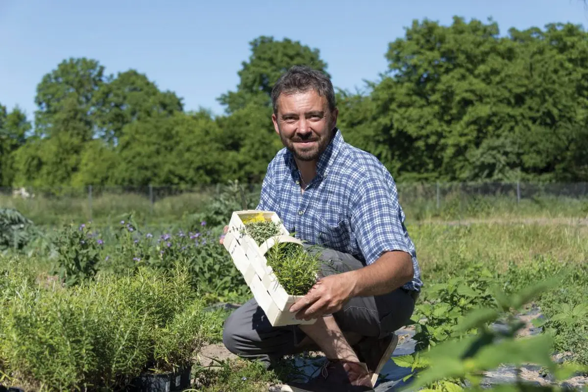 Ferme Obrecht : Couleurs et curiosités du potager