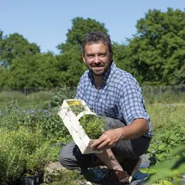 Ferme Obrecht : Couleurs et curiosités du potager