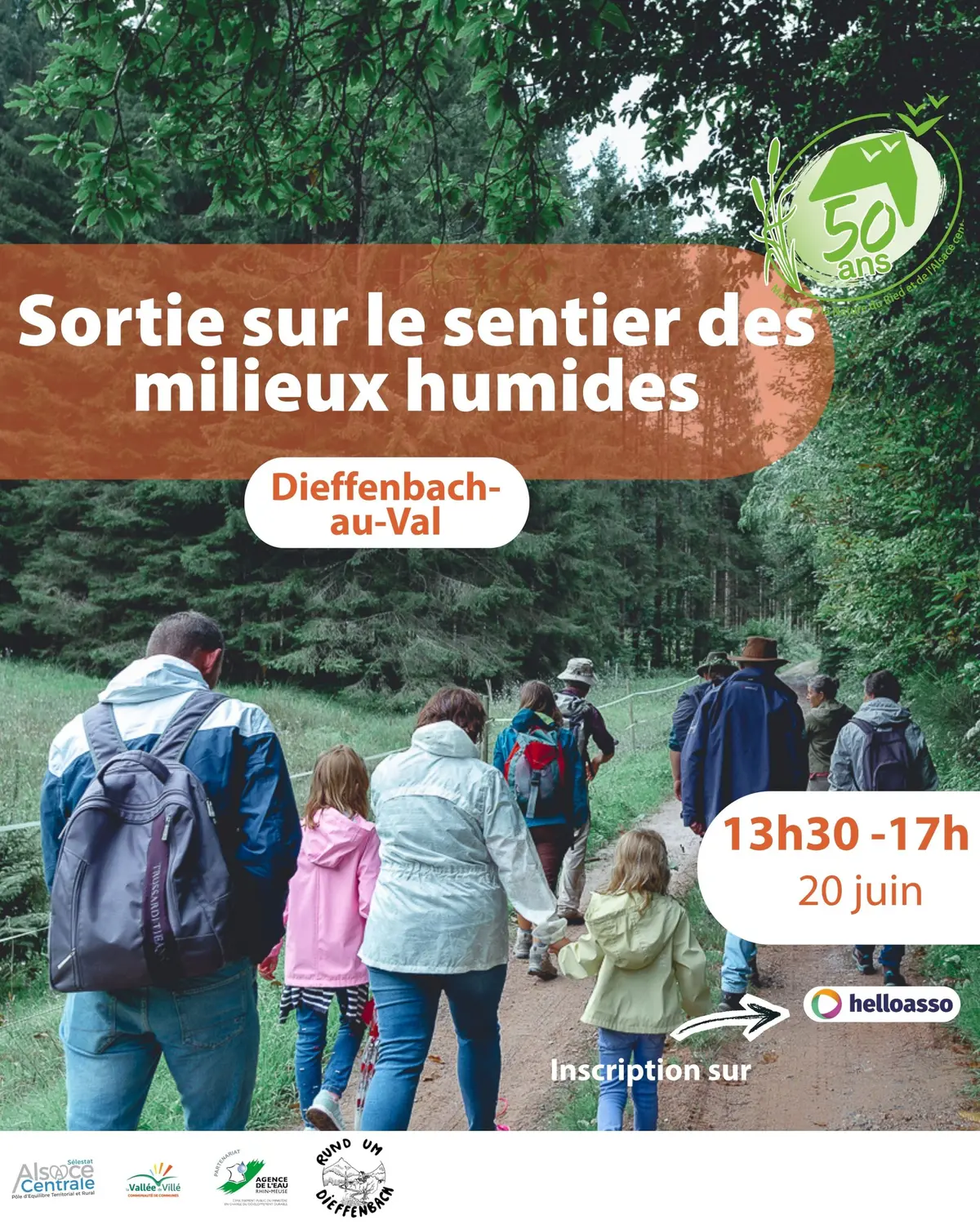 Sortie sur le sentier des milieux humides
