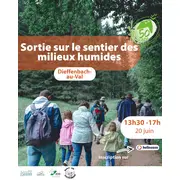 Sortie sur le sentier des milieux humides