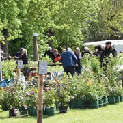 Chloroph'îles, la passion des plantes