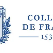 Violences faites aux filles et aux femmes