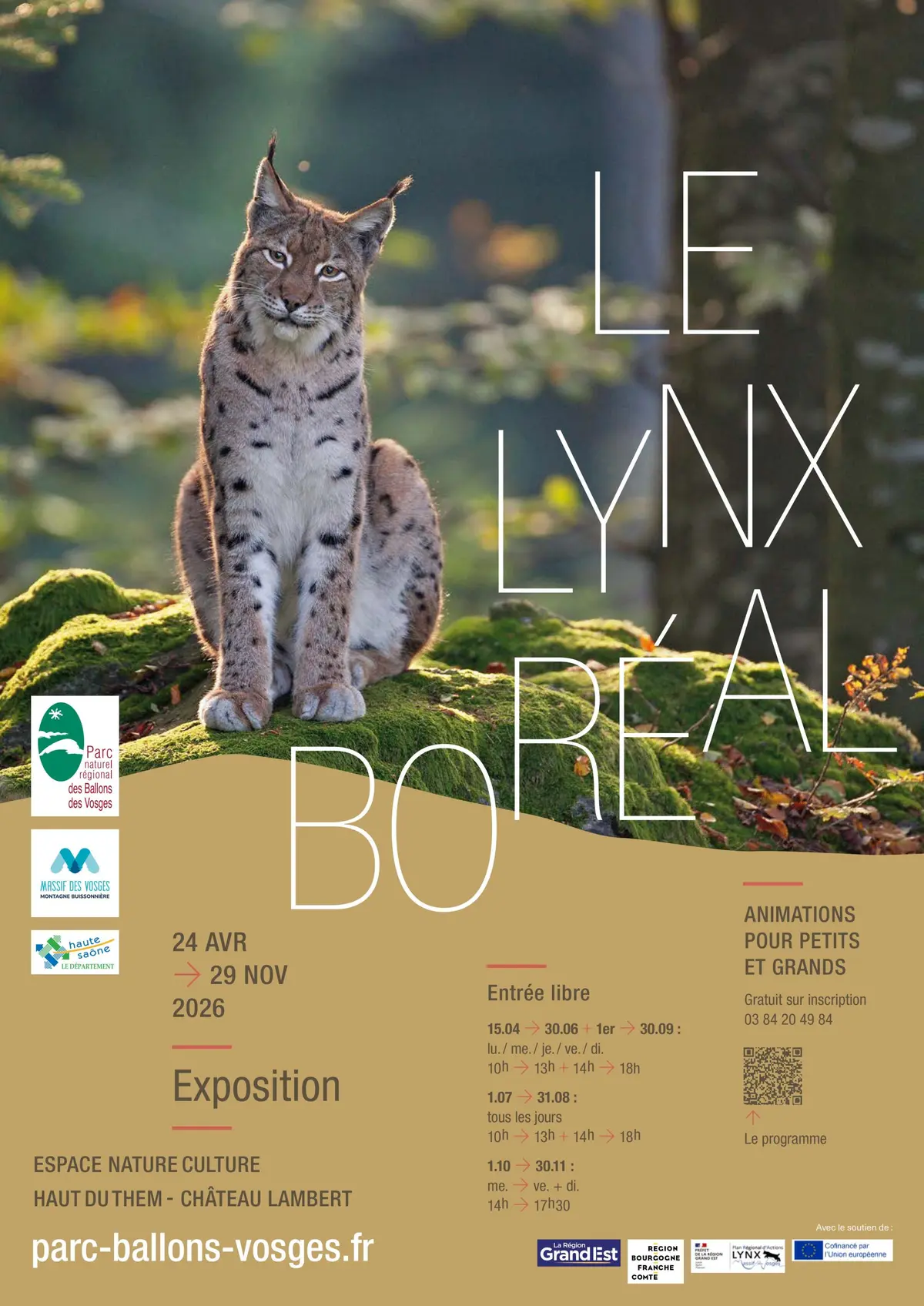 Le Lynx boréal