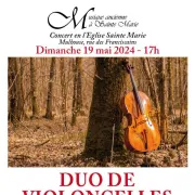 Duo de violoncelles