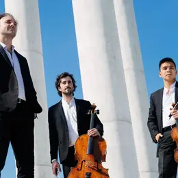 Trio Zadig