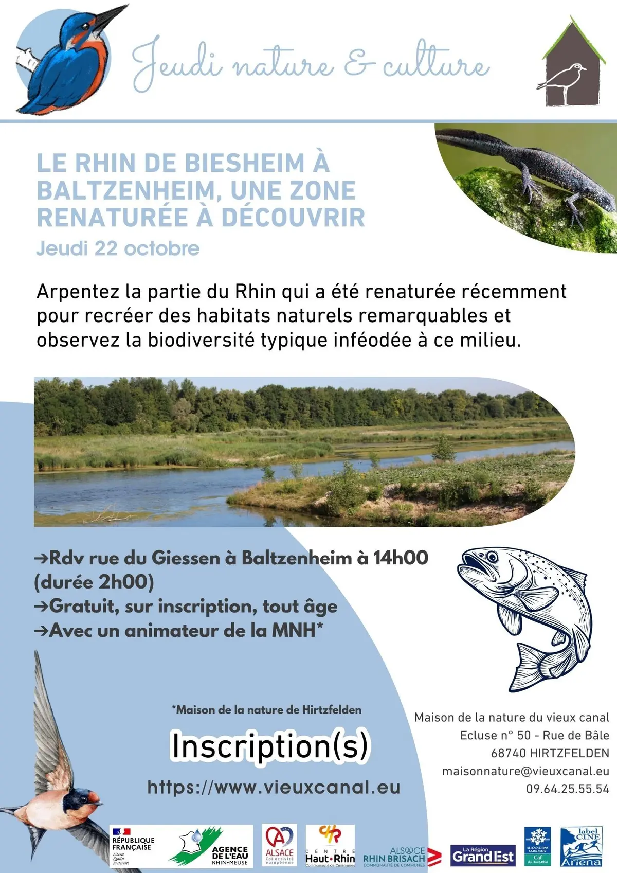 Le Rhin de Biesheim à Baltzenheim, une zone renaturée à découvrir