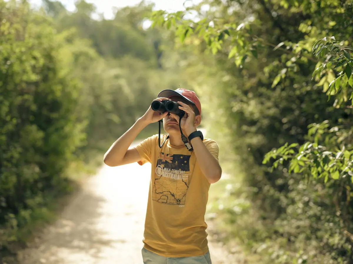 Anim’Feyssine : partez à la recherche des oiseaux ! 