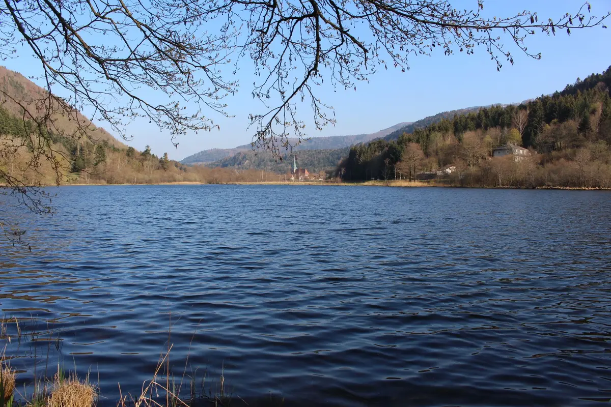 L'âge de glace de la vallée de la Doller !