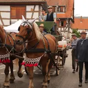 Les Vendanges d'antan à Cleebourg