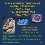 26ème Salon International de Minéraux et Fossiles