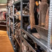 Visites guidées de l’exposition temporaire et des réserves