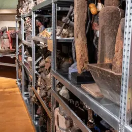 Visites guidées de l’exposition temporaire et des réserves