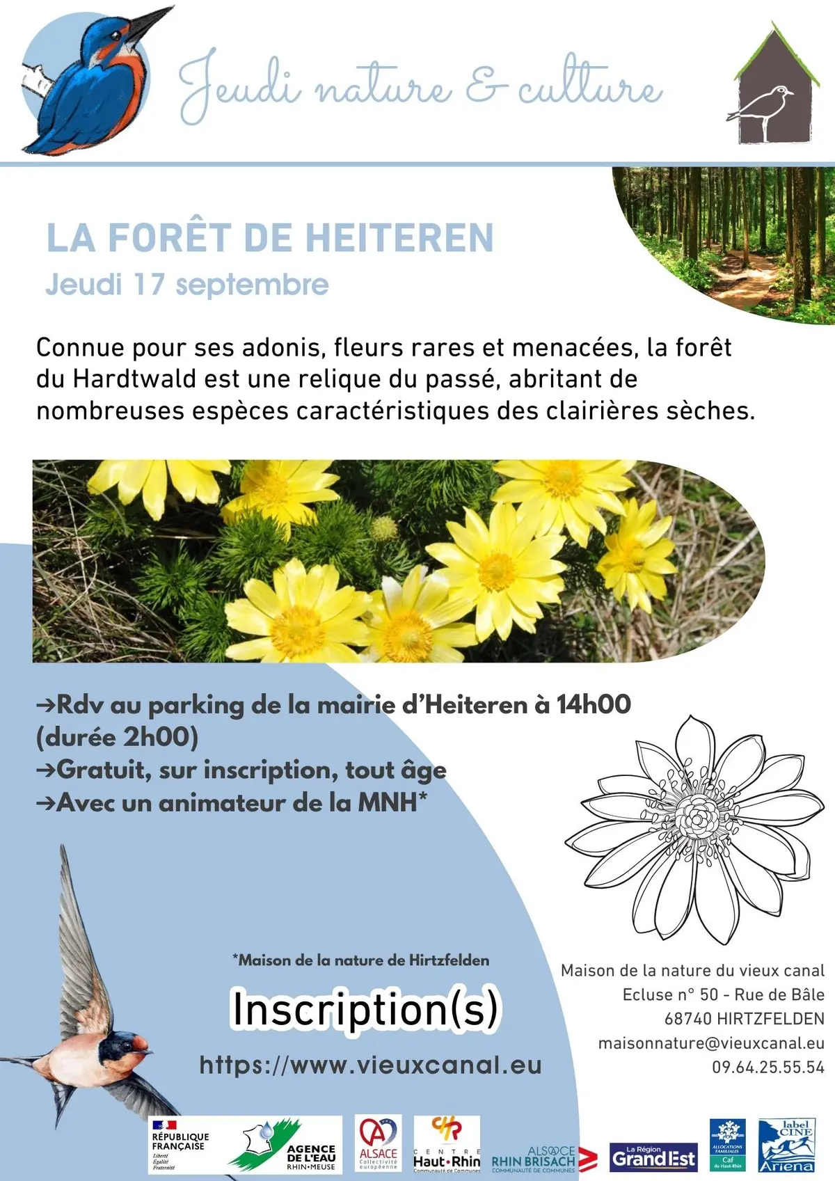 La forêt de Heiteren