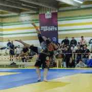 Malus Fight League 2