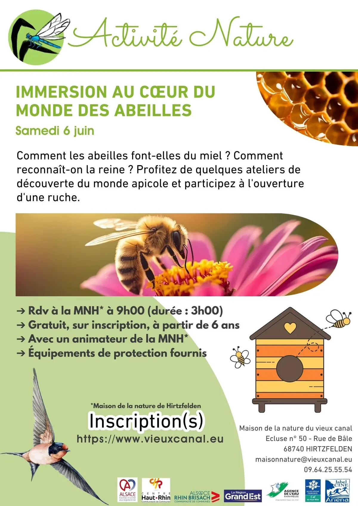Immersion au cœur du monde des abeilles