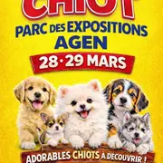 Salon du chiot Agen 2026