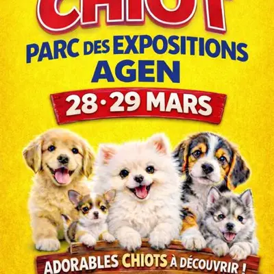 Salon du chiot Agen 2026