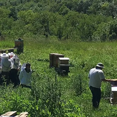 Cours pratiques et théoriques d'apiculture (saison 2026)