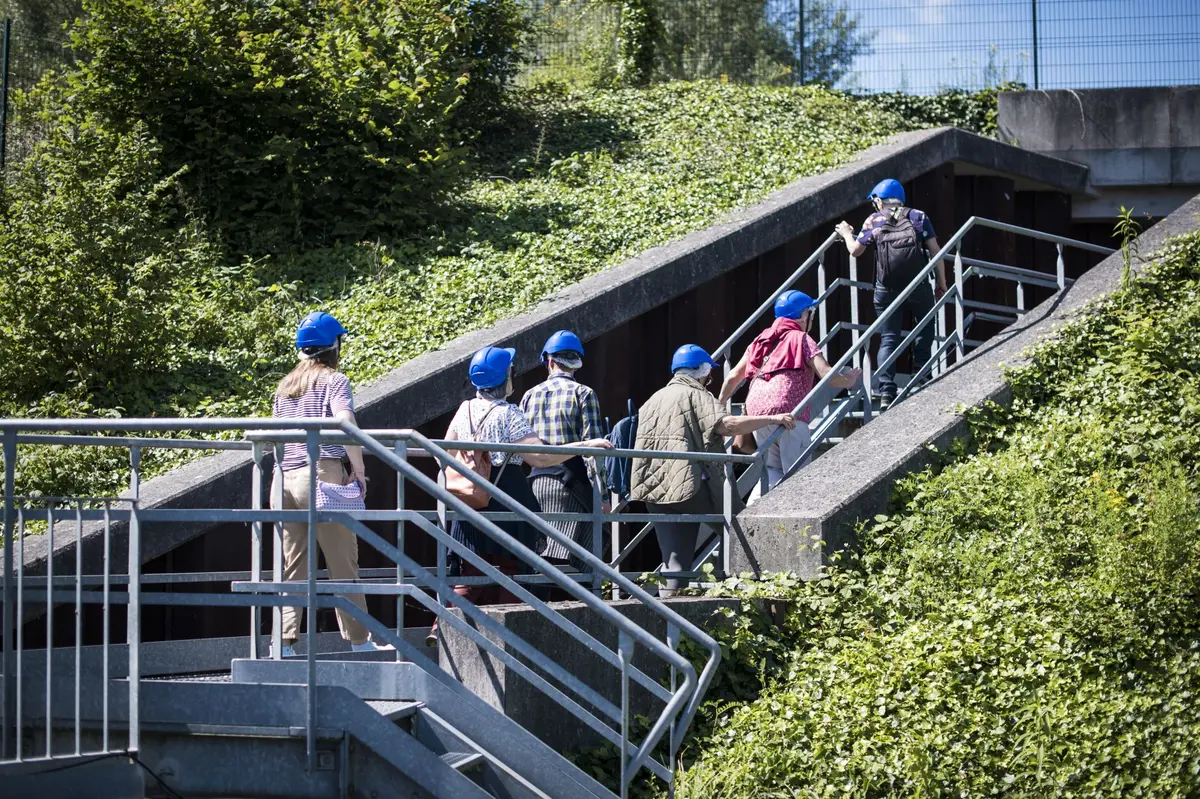 Profiter pleinement de la passe à poissons en soirée