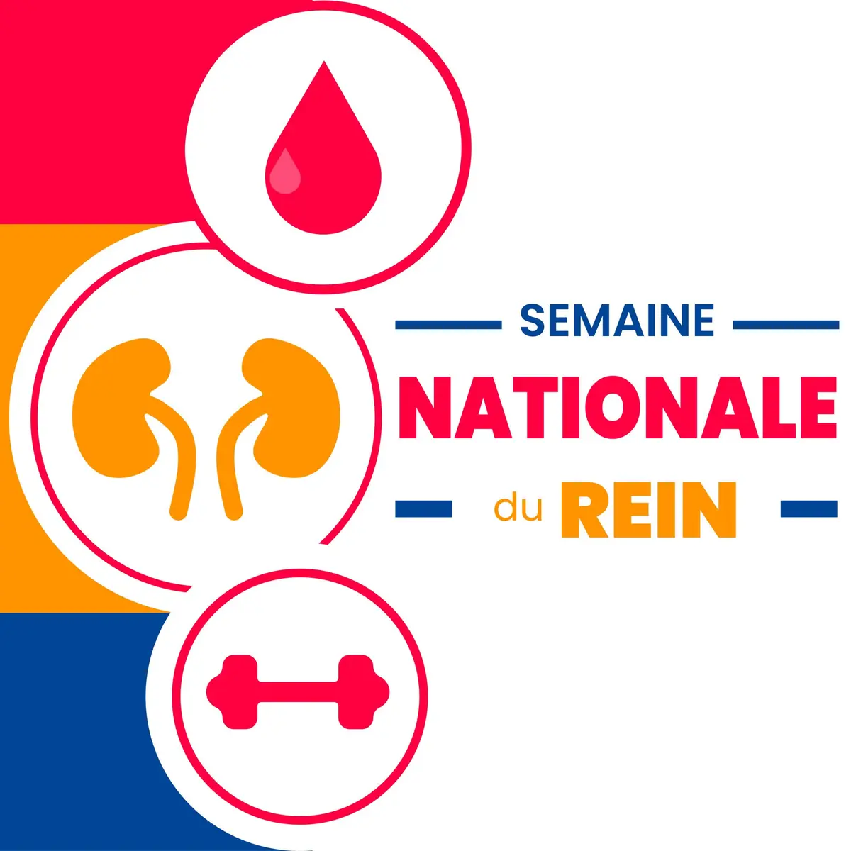 Semaine Nationale du Rein | dépistage gratuit et sans rendez-vous aux HCC