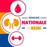 Semaine Nationale du Rein | dépistage gratuit et sans rendez-vous aux HCC