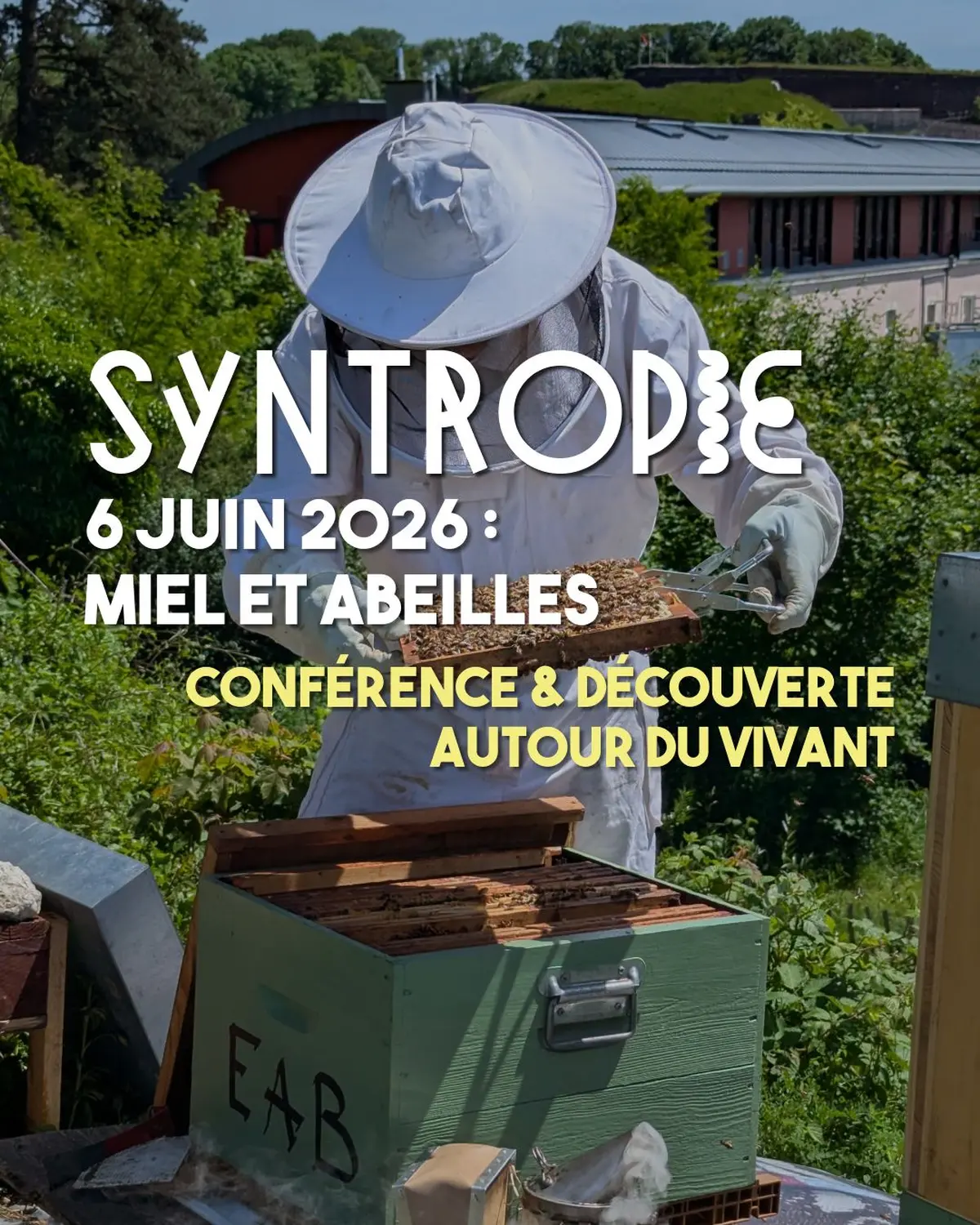 Syntropie : miel et abeilles