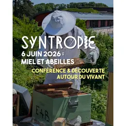 Syntropie : miel et abeilles