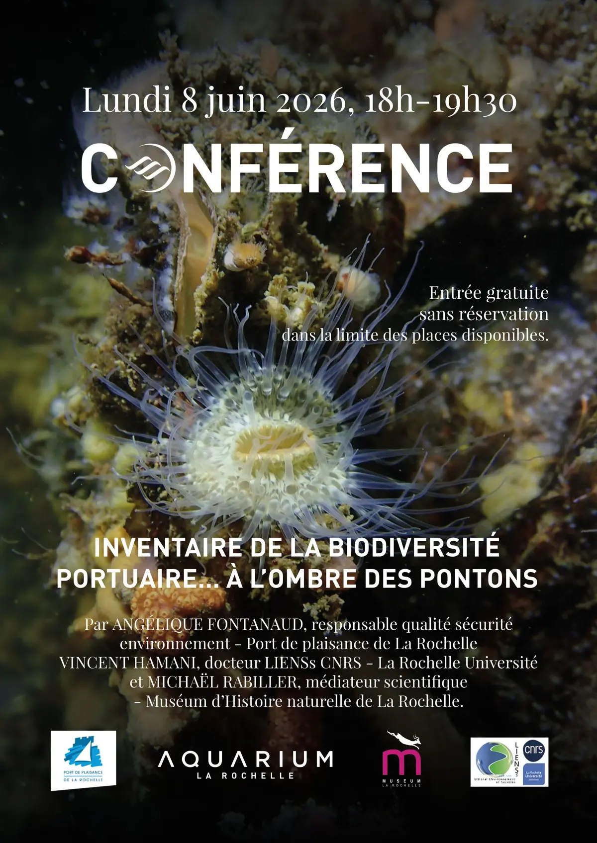 Conférence : Inventaire sur la biodiversité portuaire… à l'ombre des pontons