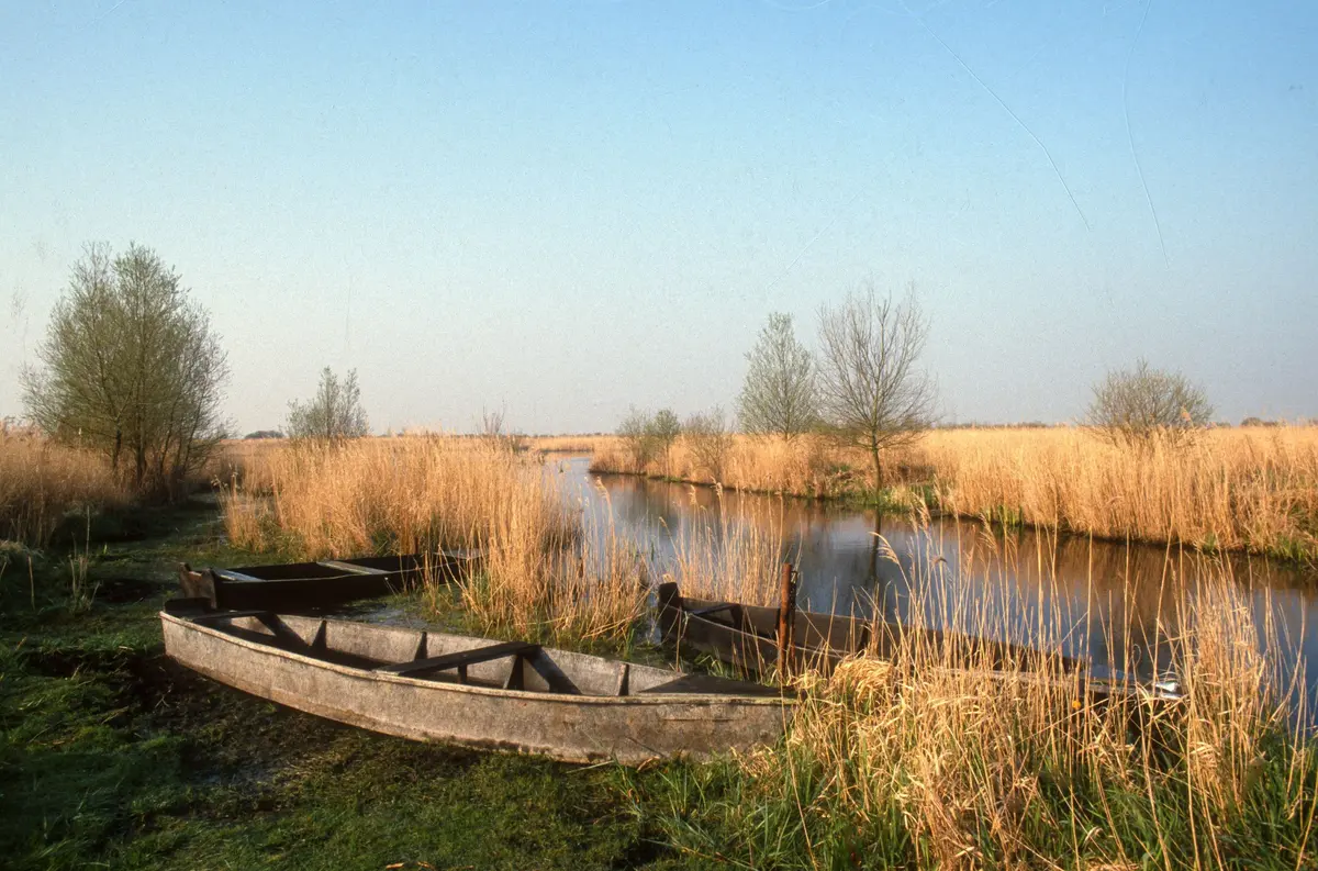 Parc naturel régional de Brière