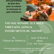 Voyage sonore & bain de gong 