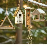 Comment aider les oiseaux en hiver ?