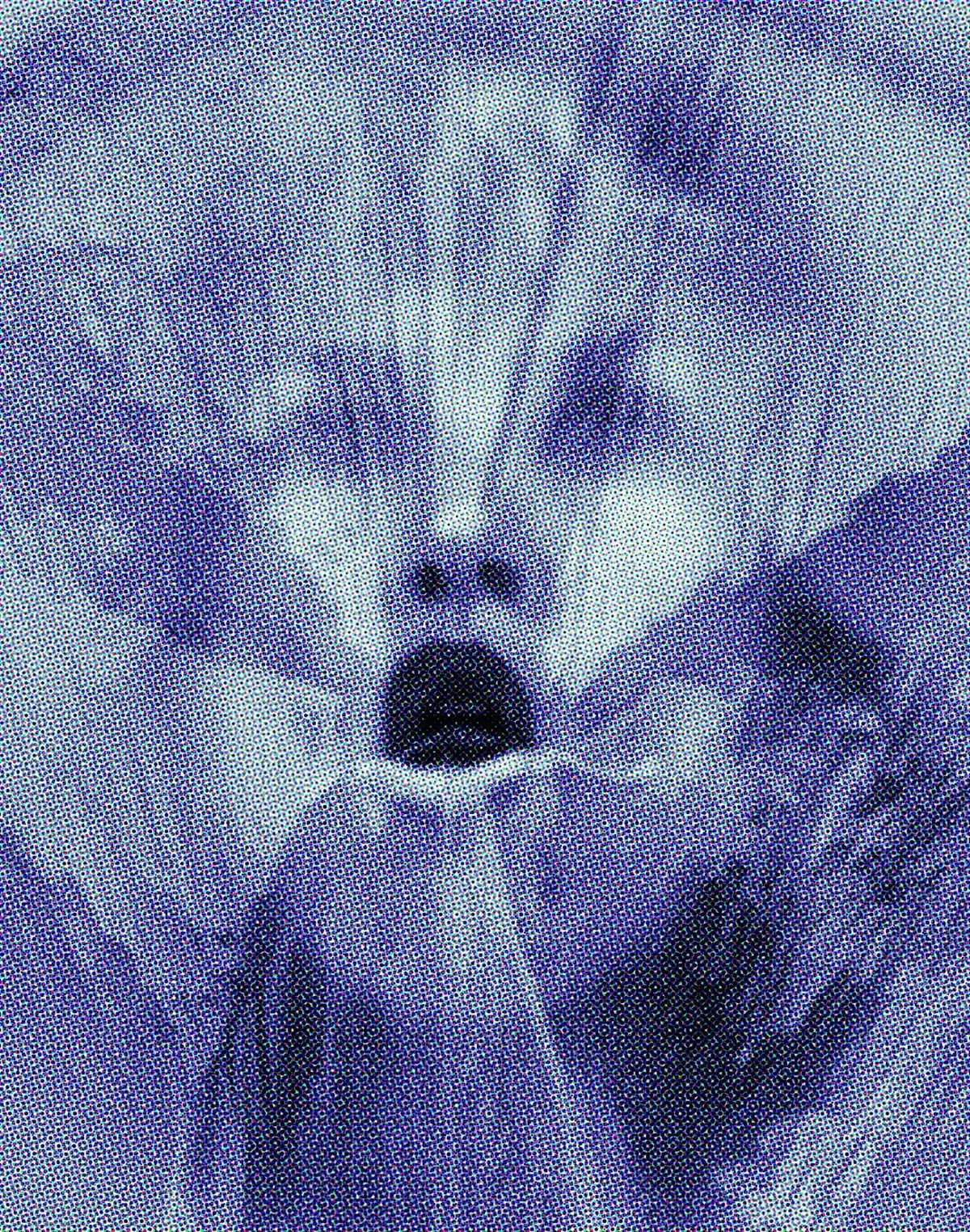 Sous le regard de méduse