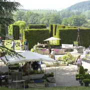 Les Bons Plan(t)s de Valmer 