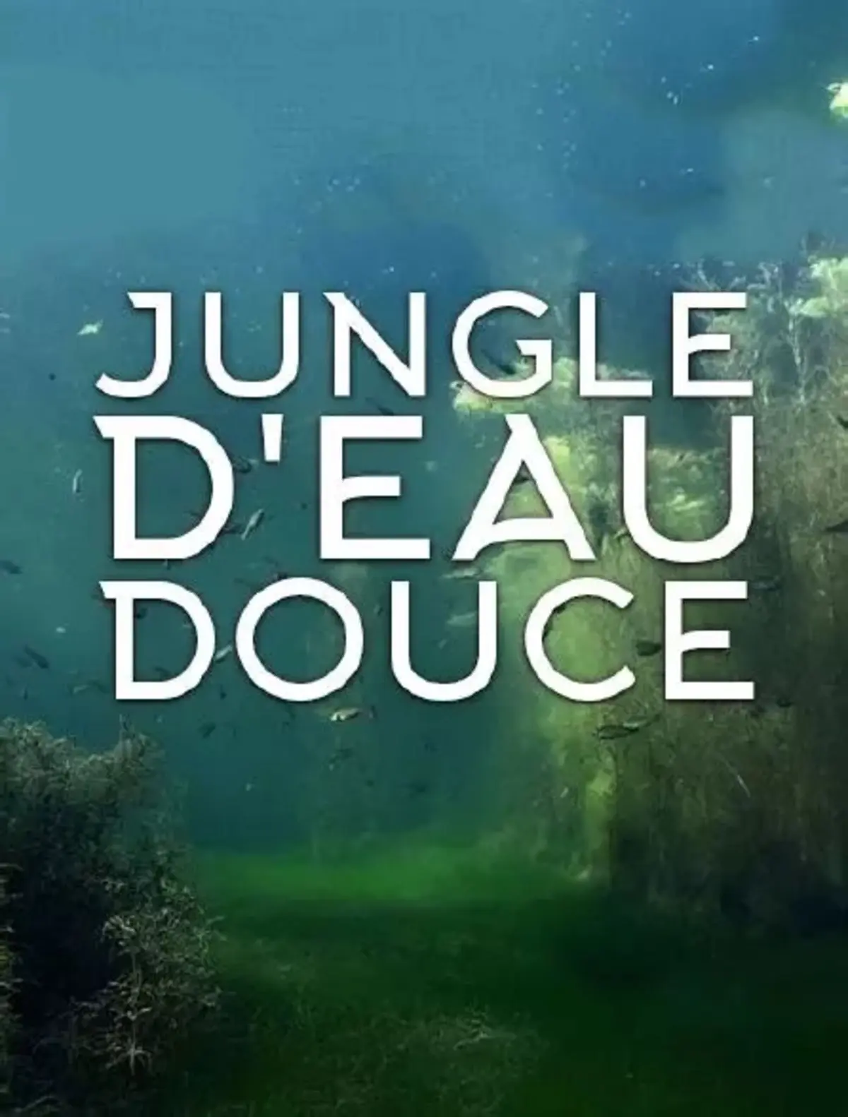 Projection Jungle d'eau douce au Lieu documentaire