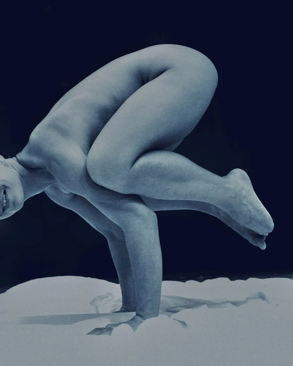 Exposition La Chambre des merveilles