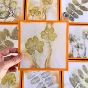 Atelier : Initiation aux impressions végétales sur papier