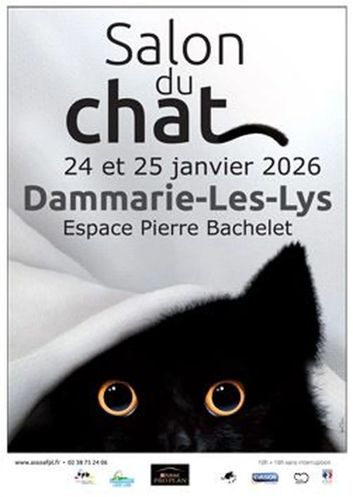 Salon International du Chat de DAMMARIE-LES-LYS