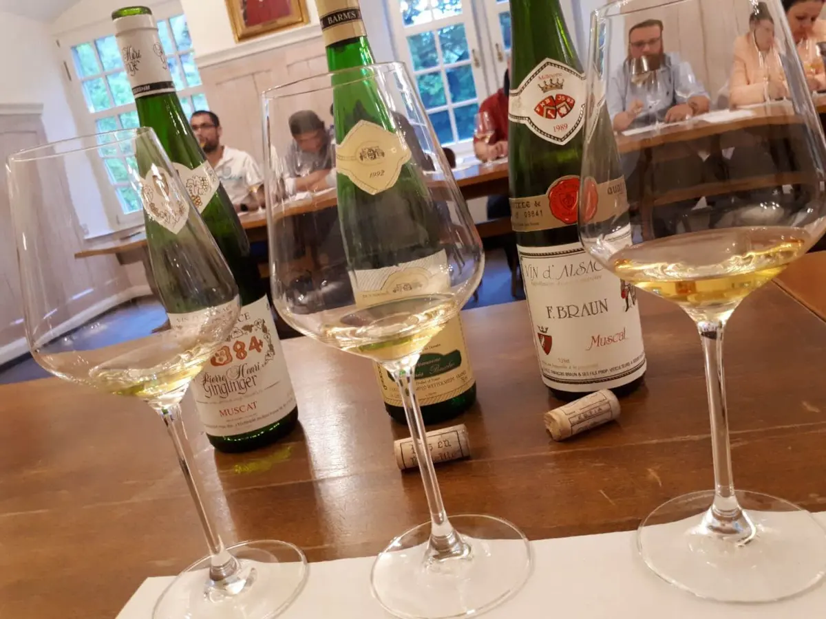 Atelier d'initiation à la dégustation