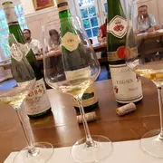 Atelier d'initiation à la dégustation