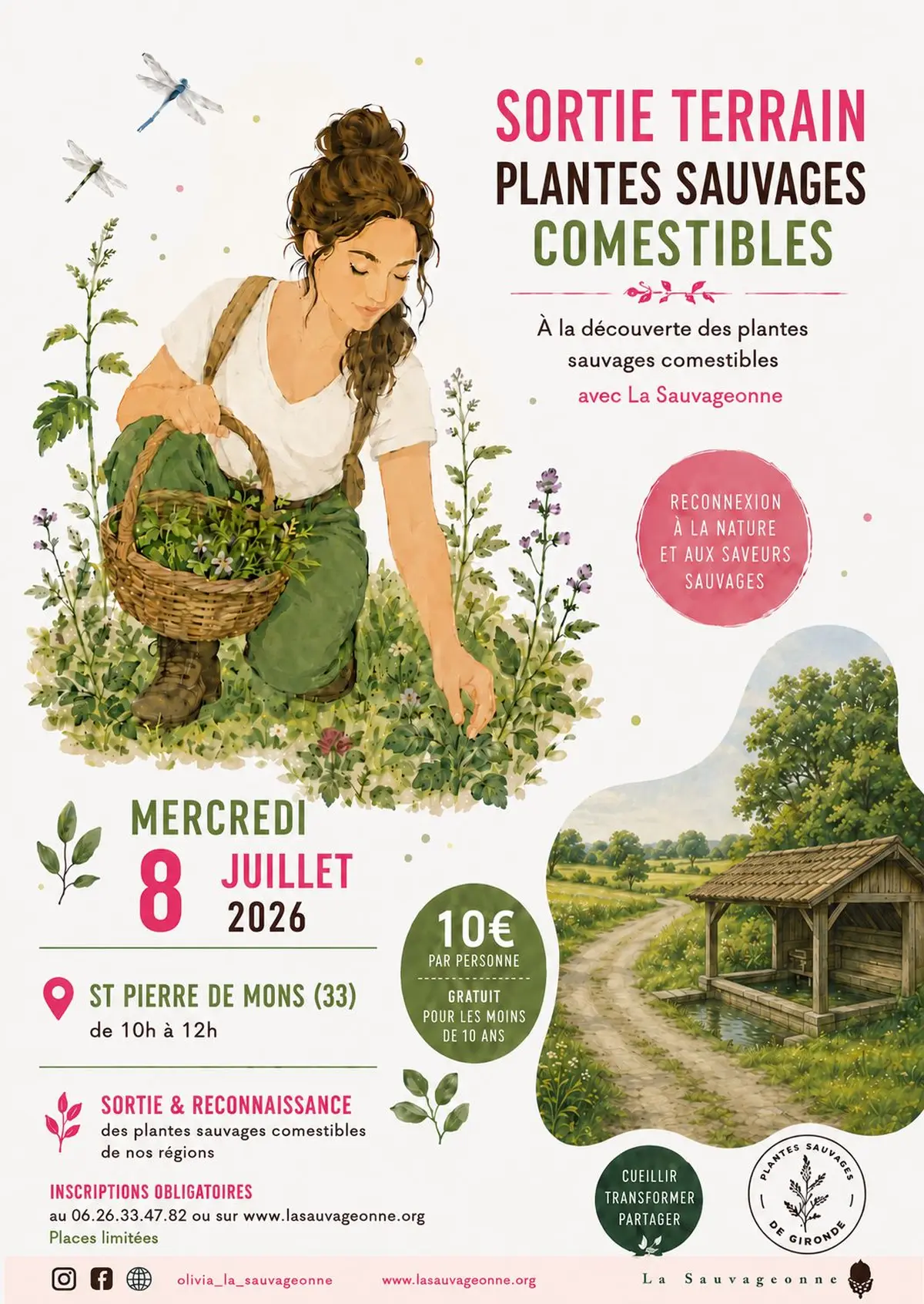 Sortie plantes sauvages comestibles en sud gironde