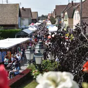 Rachamarkt 2026