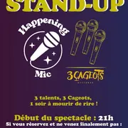 Stand up show 