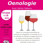 Stage oenologie 