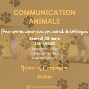 Atelier Communication animale