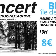 Coldwave-shoegaze : Namid’A + Echo Fantome + Bizarre Fishes 
