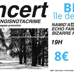 Coldwave-shoegaze : Namid’A + Echo Fantome + Bizarre Fishes 