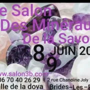 Salon des minéraux de la Savoie 