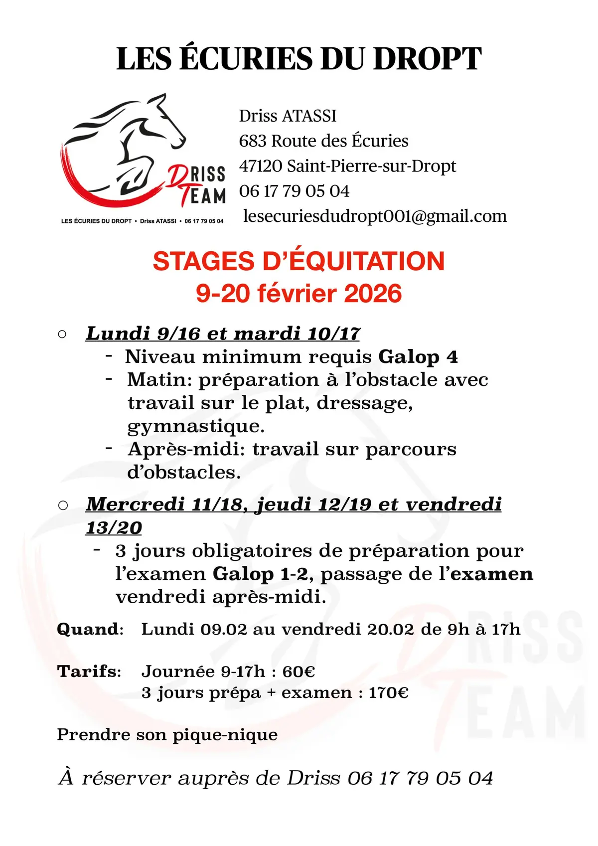 Stage d'équitation