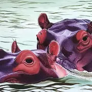 Souvenir sauvage d'Afrique du Sud